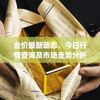 金价最新动态，今日行情查询及市场走势分析与预测