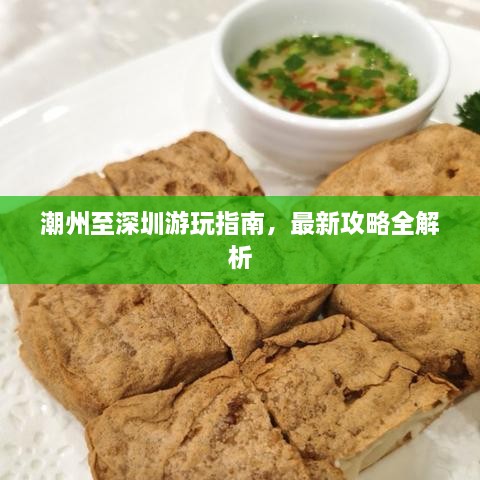 潮州至深圳游玩指南，最新攻略全解析