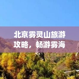 北京雾灵山旅游攻略，畅游雾海仙境之旅