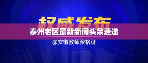 泰州老区最新新闻头条速递