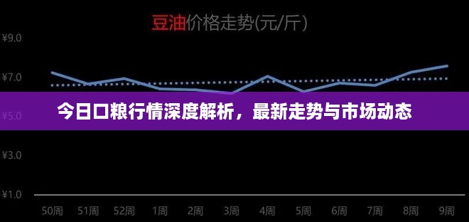 今日口粮行情深度解析，最新走势与市场动态