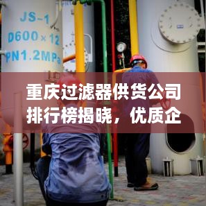 重庆过滤器供货公司排行榜揭晓，优质企业一览无余！