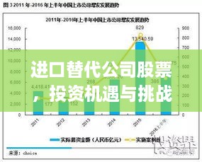 进口替代公司股票，投资机遇与挑战并存的投资领域