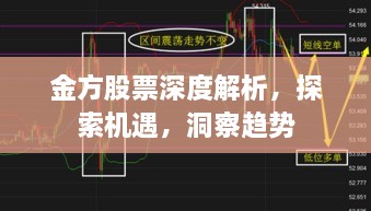 金方股票深度解析，探索机遇，洞察趋势