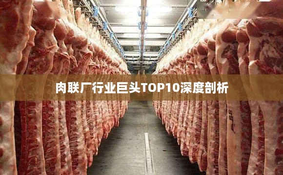 肉联厂行业巨头TOP10深度剖析