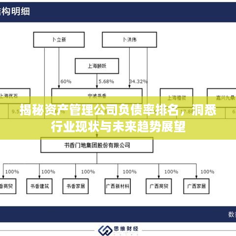 揭秘资产管理公司负债率排名，洞悉行业现状与未来趋势展望