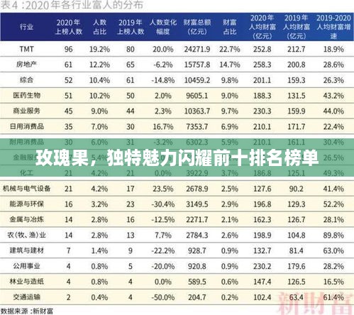 玫瑰果，独特魅力闪耀前十排名榜单