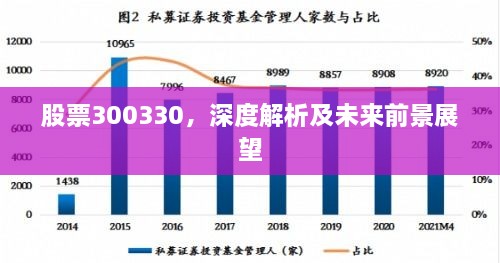 股票300330，深度解析及未来前景展望