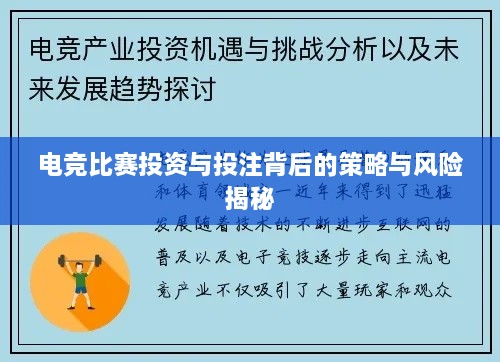 电竞比赛投资与投注背后的策略与风险揭秘