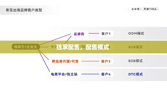 独家配售，配售模式 