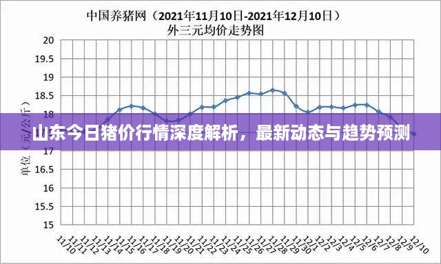 山东今日猪价行情深度解析，最新动态与趋势预测