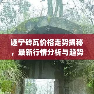 遂宁砖瓦价格走势揭秘，最新行情分析与趋势预测