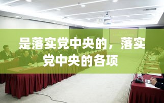 是落实党中央的，落实党中央的各项 