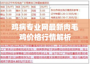 鸡病专业网最新肉毛鸡价格行情解析