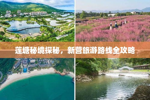 莲塘秘境探秘，新营旅游路线全攻略