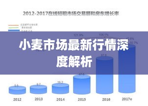 小麦市场最新行情深度解析