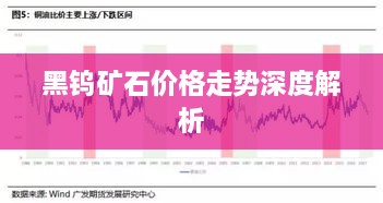 黑钨矿石价格走势深度解析