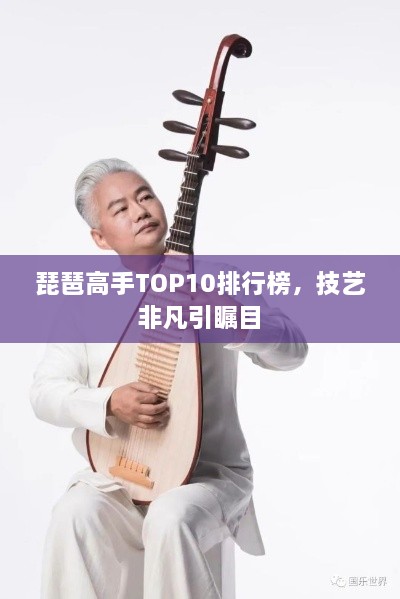 琵琶高手TOP10排行榜，技艺非凡引瞩目