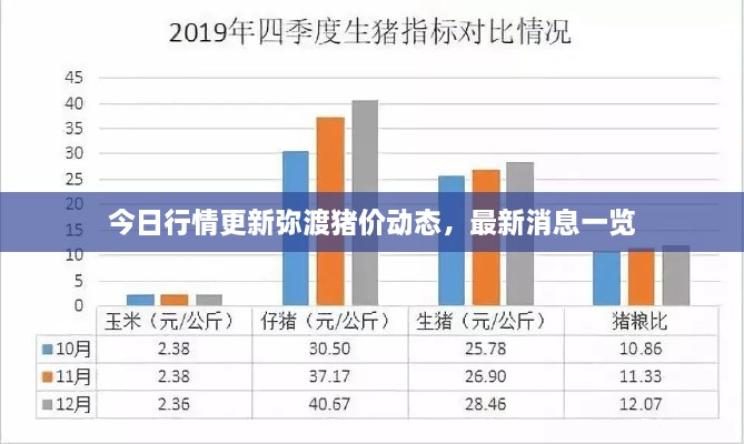 今日行情更新弥渡猪价动态，最新消息一览