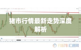 猪市行情最新走势深度解析