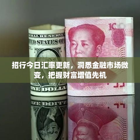 招行今日汇率更新，洞悉金融市场微变，把握财富增值先机