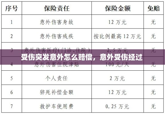 受伤突发意外怎么赔偿，意外受伤经过 