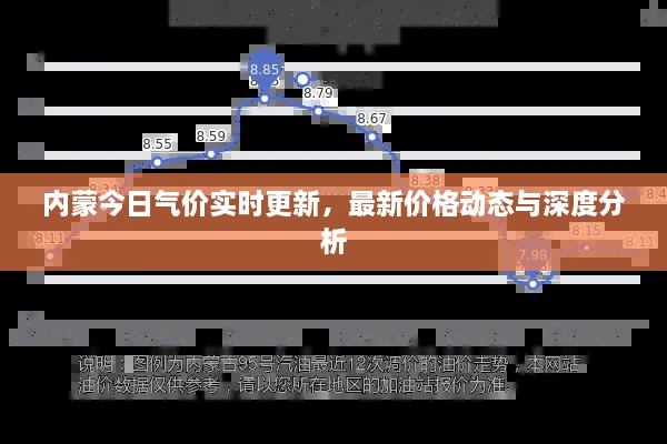 内蒙今日气价实时更新，最新价格动态与深度分析