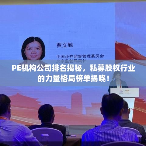 PE机构公司排名揭秘，私募股权行业的力量格局榜单揭晓！