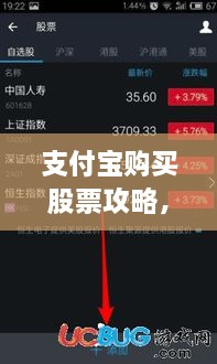 支付宝购买股票攻略，便捷投资新途径