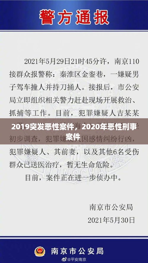 2019突发恶性案件，2020年恶性刑事案件 