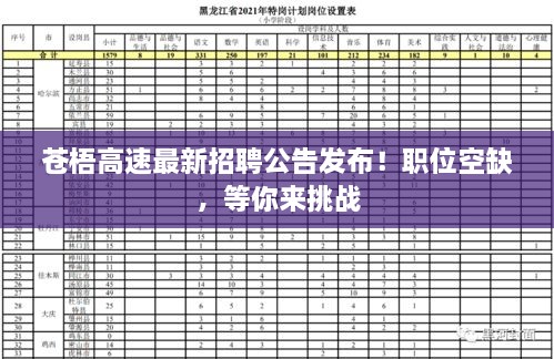 苍梧高速最新招聘公告发布！职位空缺，等你来挑战