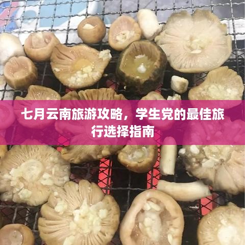 七月云南旅游攻略，学生党的最佳旅行选择指南