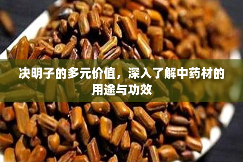 决明子的多元价值，深入了解中药材的用途与功效