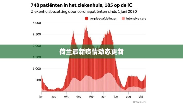 荷兰最新疫情动态更新