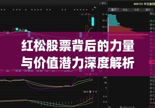 红松股票背后的力量与价值潜力深度解析