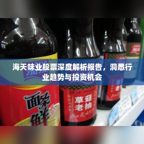 海天味业股票深度解析报告，洞悉行业趋势与投资机会