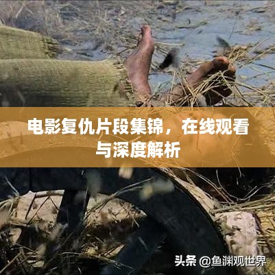 电影复仇片段集锦，在线观看与深度解析