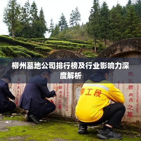 柳州墓地公司排行榜及行业影响力深度解析