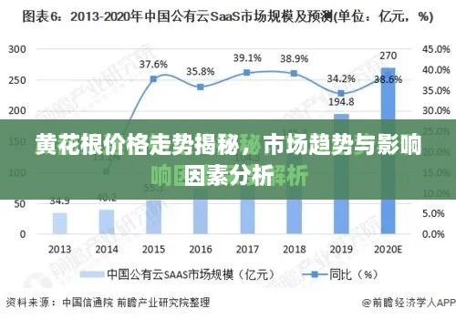 黄花根价格走势揭秘，市场趋势与影响因素分析
