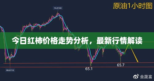 今日红柿价格走势分析，最新行情解读