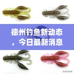 德州钓鱼新动态，今日最新消息视频，探索新钓点，尽享垂钓乐趣时光