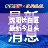 沈阳长白区最新今日头条新闻报道速递