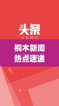 桐木新闻热点速递，今日头条不容错过