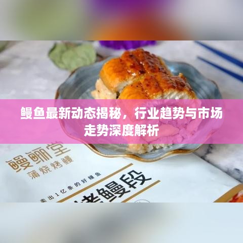 鳗鱼最新动态揭秘，行业趋势与市场走势深度解析