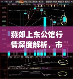 燕郊上东公馆行情深度解析，市场走势、投资前景一网打尽！