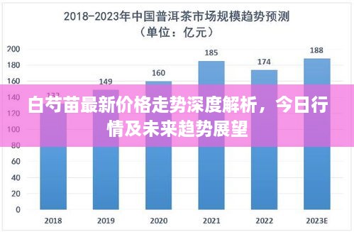 白芍苗最新价格走势深度解析，今日行情及未来趋势展望