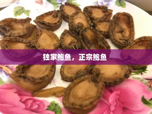 独家鲍鱼，正宗鲍鱼 