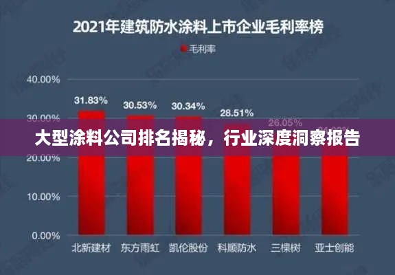 大型涂料公司排名揭秘，行业深度洞察报告