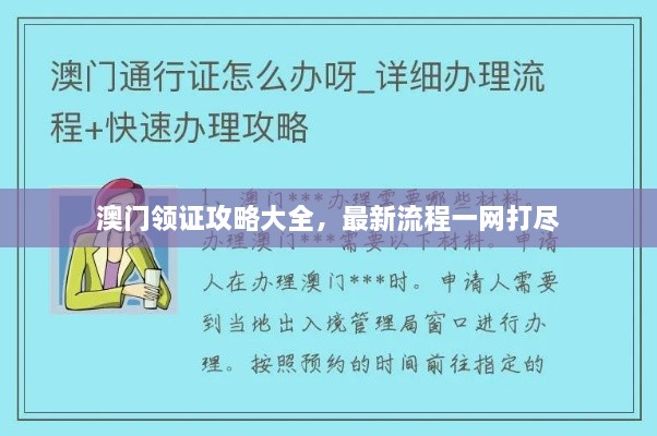 澳门领证攻略大全，最新流程一网打尽