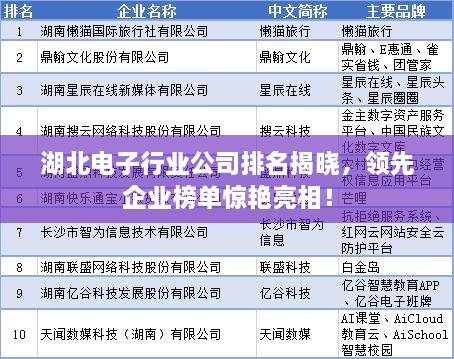 湖北电子行业公司排名揭晓，领先企业榜单惊艳亮相！